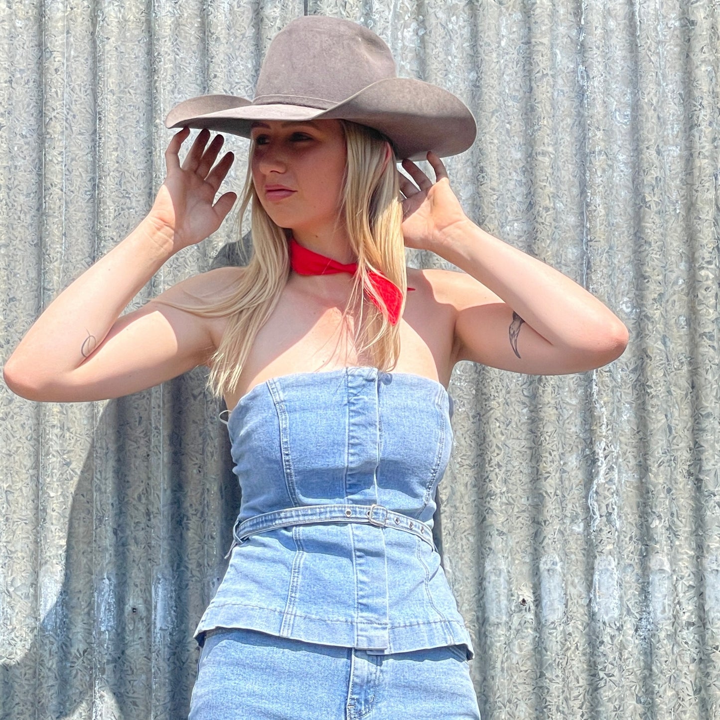 Dani Denim Top