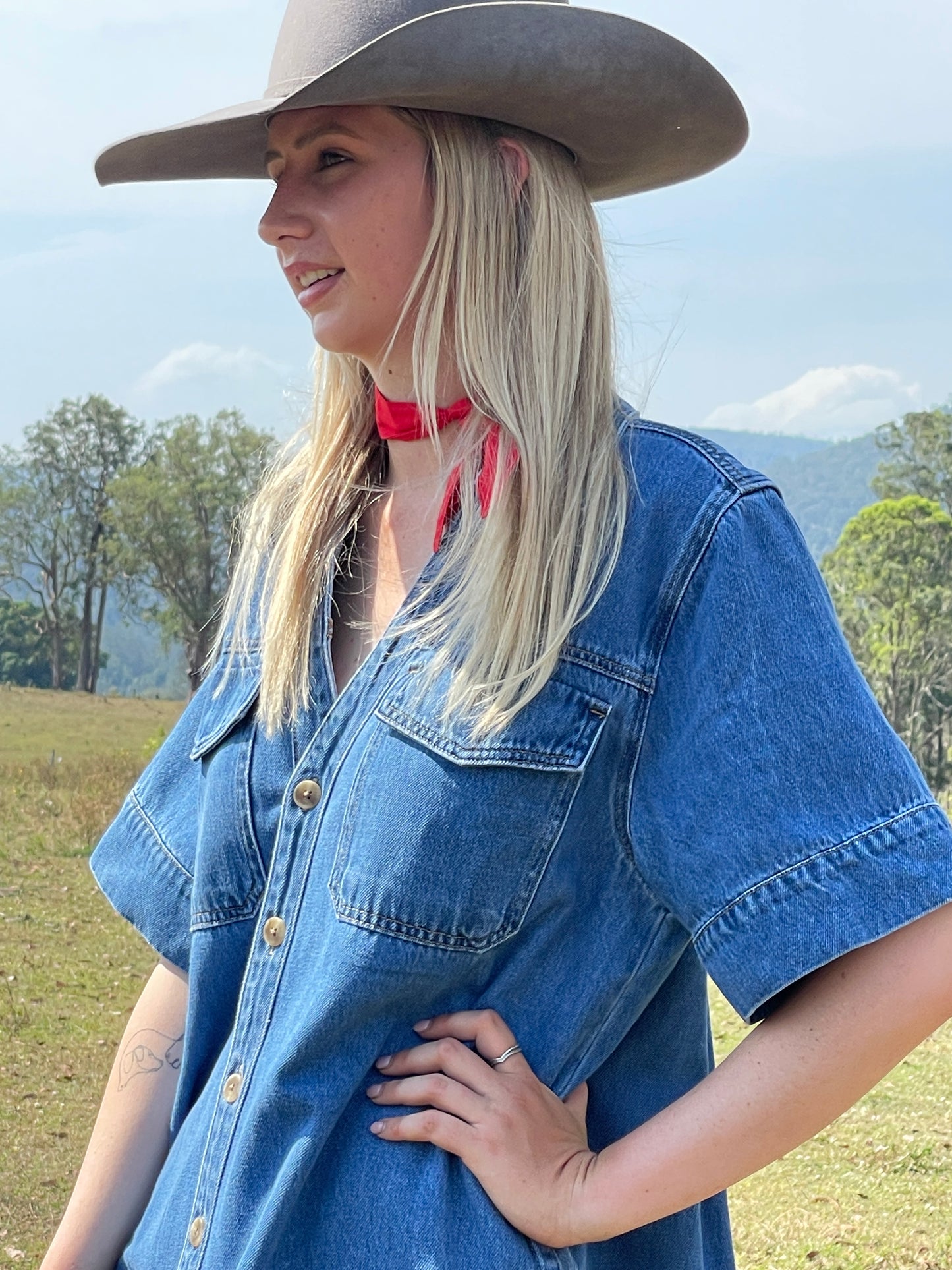 Indigo Denim Shirt Dress